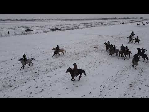 Видео: 17.02.2024 Сапаровтар әулеті Жеңіс мырзаның елден бата алу көкпары