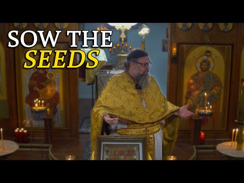 Видео: ВЫ ГОТОВЫ ПРИСТУПИТЬ К РАБОТЕ?