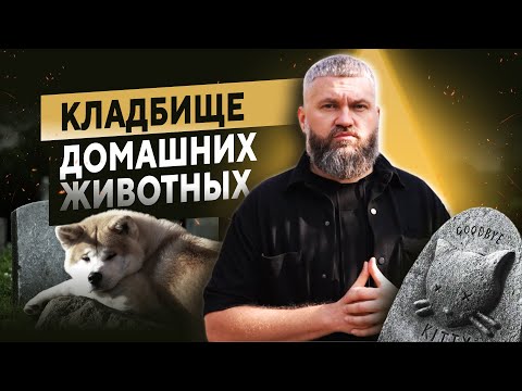 Видео: Кладбище домашних животных в Москве