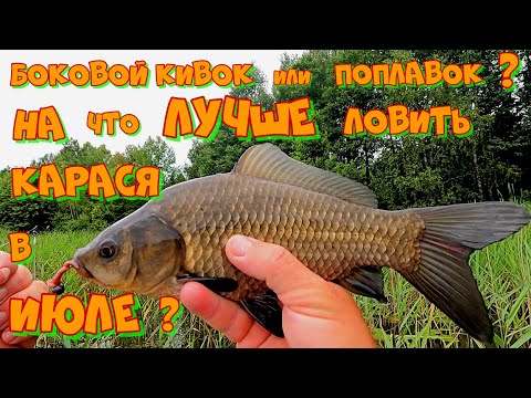 Видео: Ловля КАРАСЯ на ПОПЛАВОК и БОКОВОЙ КИВОК у КАМЫША ! Поиск КАПРИЗНОГО КАРАСЯ  Летом .