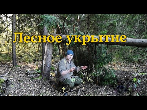 Видео: Строим лесное укрытие. Шалаш