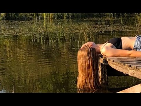 Видео: Беловежская пуща