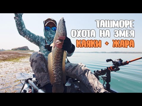Видео: Охота за змееголовом | Ташморе, каяки и бейткасты в деле.