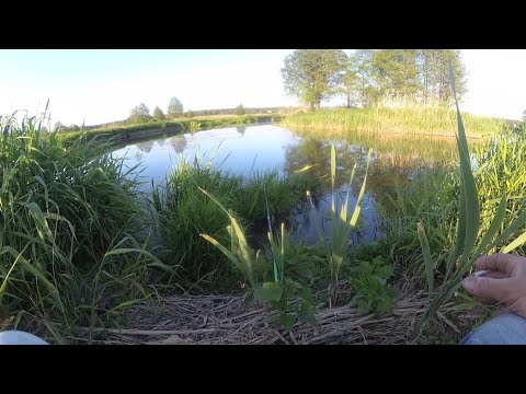 Видео: Живописные места реки Уса. Осваиваю Полудонку😄. Вечерняя разведка... Первый блин комом...