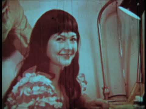 Видео: Дневник инспектора