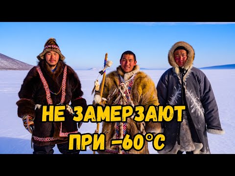 Видео: Почему чукчи не замерзают при  60°C? Узнайте их секрет!