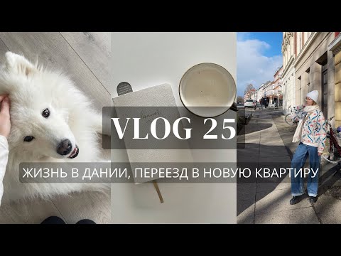 Видео: VLOG 25 | ЖИЗНЬ В ДАНИИ, ПЕРЕЕЗД В НОВУЮ КВАРТИРУ, ПОХОД К ВЕТЕРИНАРУ