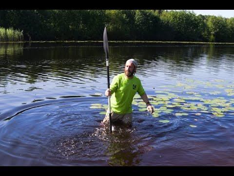 Видео: 300 (а). Трехсотая видеозапись на канале. продолжение беседы.