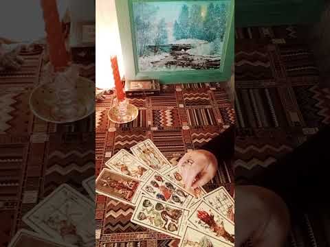 Видео: Он сказал правду или приврал...