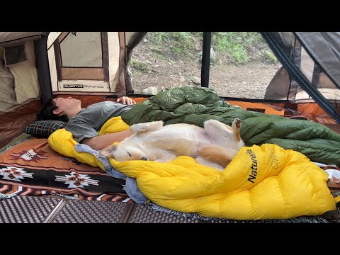 Видео: СОЛО кемпинг в глубоком FOREST рядом с долиной с собакой