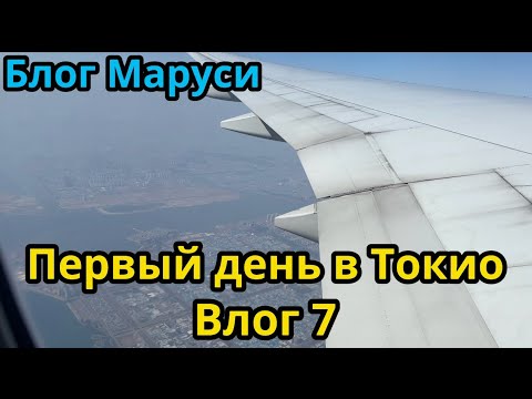 Видео: ЛЕТИМ В ТОКИО | ЯПОНСКИЙ ВЛОГ | МАРТ 2024 | BTS | БЛОГ МАРУСИ
