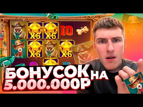 Видео: КУПИЛ БОНУСОК НА 5.000.000Р В THE DOG HOUSE DOG OR ALIVE / ПОЙМАЛ МНОГО ЗАНОСОВ!