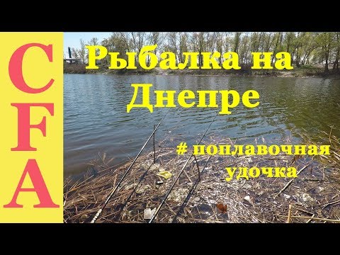 Видео: Рыбалка в апреле на Днепре  В поисках карася ч 2 поплавочная удочка