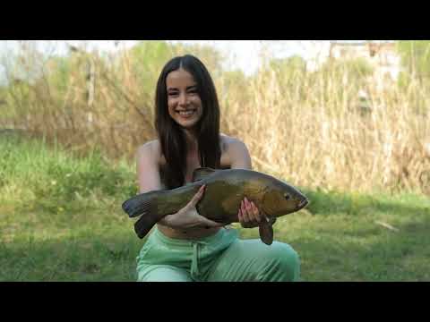 Видео: 🎤 Аля Дюйм ▶ Зіркова риболовля №93 ▶ Трофей