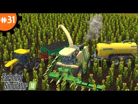 Видео: Мастер-Класс по Выращиванию Подсолнечника: Секреты Успеха в Farming Simulator 18. | Fs 18. #31
