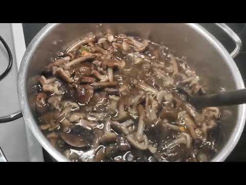 Видео: Быстрый рецеп МАРИНОВАННЫХ ОПЯТ! #грибы#заготовкиназиму#pickle#mushroom #cuisine#кулинария #forest