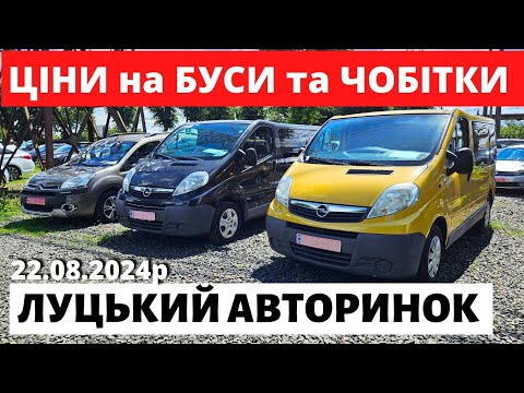 Видео: ПОПУЛЯРНІ БУСИ ТА ЧОБІТКИ / ЛУЦЬКИЙ АВТОРИНОК / 22.08.2024р #автобазар  #автопідбір #автопідбірлуцьк