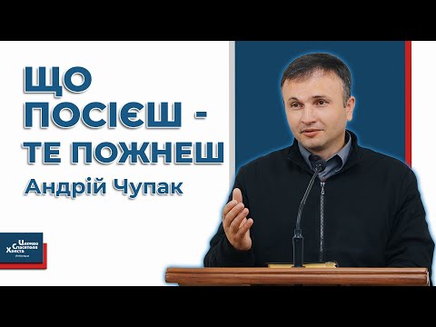 Видео: Що посієш - те пожнеш - Андрій Чупак