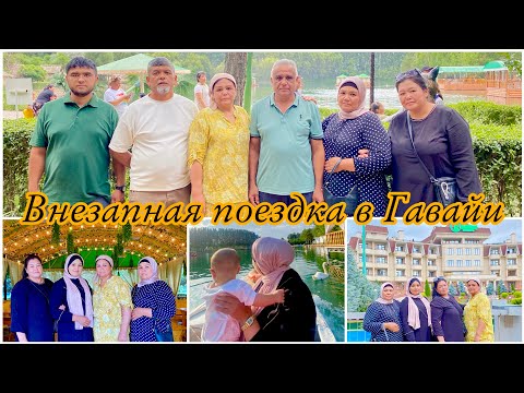 Видео: ПРИЕХАЛИ В ГАВАЙИ С РОДНЫМИ🏝️🎡ТОПЧАНЫ НА ВОДЕ⛲️КАТАЕМСЯ НА ЛОДКЕ🚣🏻‍♂️🛶ЗООПАРК🐒🐫🐇🦃 #facts #shorts