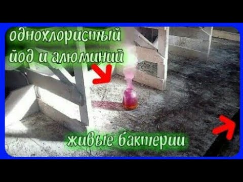 Видео: дезинфекция коровника лучшее средство для дезинфекции////хлористый йод/живые бактерии/побелка.