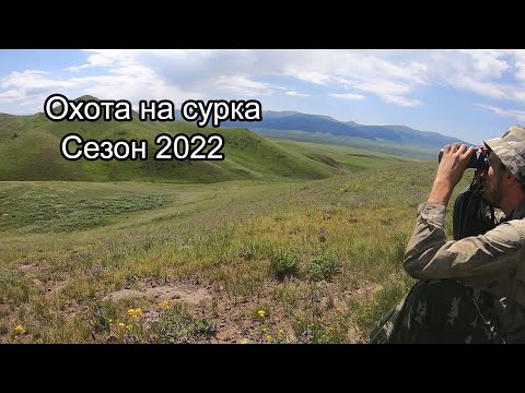 Видео: Открытие сезона охоты на сурка 2022 года