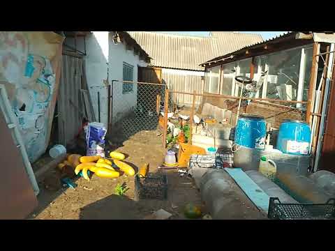 Видео: Воскресный день