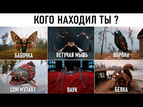 Видео: ВСЕ 24 СУЩЕСТВ из STALKER 2 О КОТОРЫХ ТЫ НЕ ЗНАЛ
