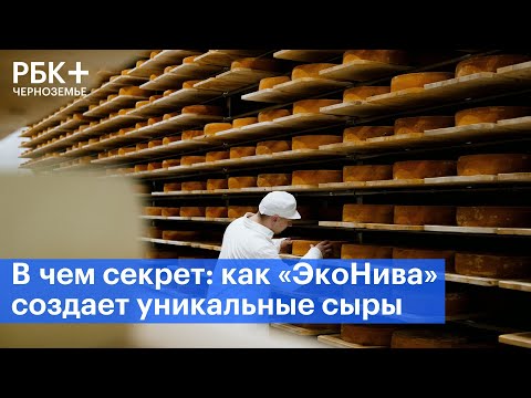 Видео: В чем секрет: как «ЭкоНива» создает уникальные сыры