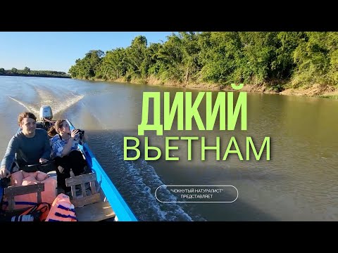 Видео: Дикий Вьетнам: Хошимин, Каттьен, Вунгтау // Wild Vietnam: Ho Chi Minh, Cat Tien, Vung Tau