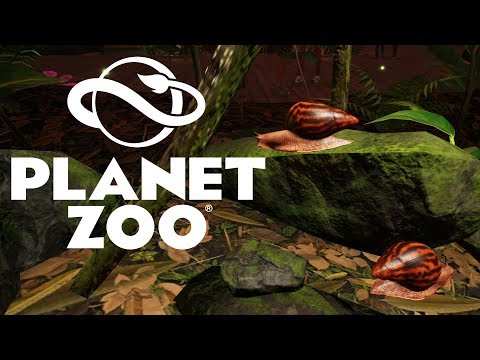 Видео: ПЕРВЫЕ ЭКСПОЗИЦИИ #8 PLANET ZOO ПРОХОЖДЕНИЕ