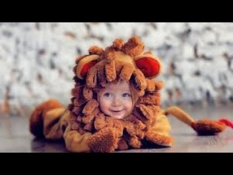 Видео: Если ваш ребенок Лев