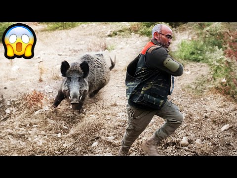 Видео: Кабан нападает на охотника! -2💥😱 Опасная и захватывающая охота на дикого кабана