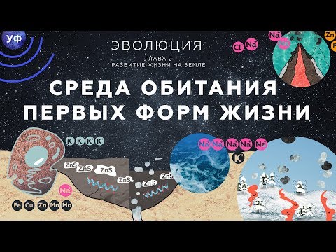Видео: 5. Среда обитания первых форм жизни.  Развитие жизни на Земле - 10 - 11 класс