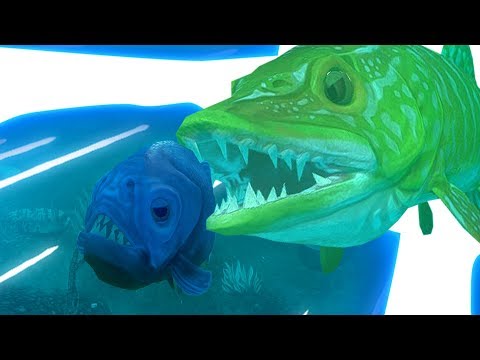 Видео: ЩУКА ПЕРЕРОСТОК! РЕКА СМЕРТЕЛЬНОЙ ОПАСНОСТИ! РЫБИЙ ЧЕЛЛЕНДЖ FEED AND GROW FISH