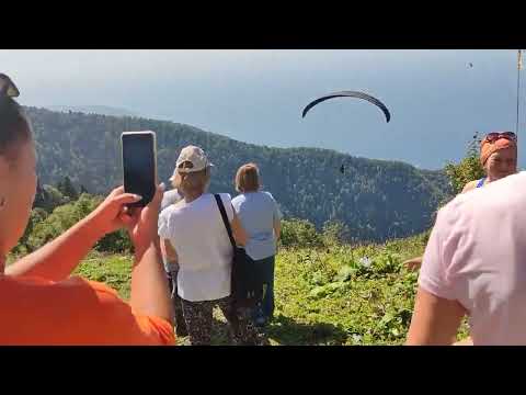 Видео: Виноградный тур пермяков в Абхазии