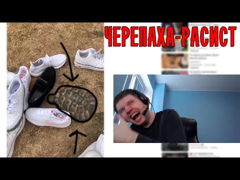 Видео: РЕАКЦИЯ ПАПИЧА НА ЧЕРЕПАХУ-РАСИСТА! САМЫЙ СМЕШНОЙ ВИДОС В ИСТОРИИ!!!