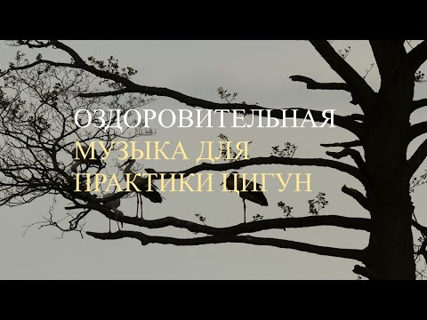 Видео: Оздоровительная музыка для практики цигун Большое дерево и малый небесный круги