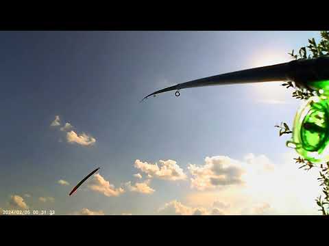 Видео: Попловок