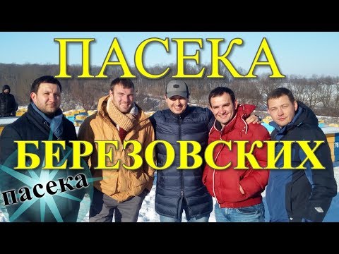 Видео: Пасека Березовских - Зимний точок / FABRO