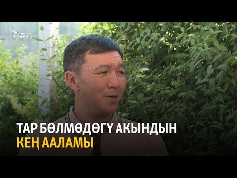 Видео: Тар бөлмөдөгү акындын кең ааламы