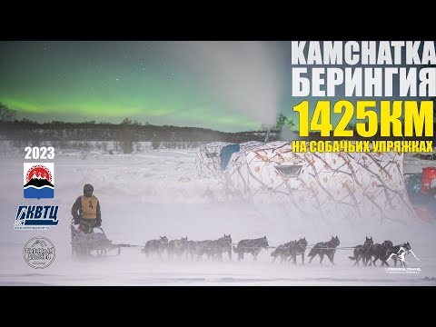 Видео: Берингия 2023 Глазами сопровождения! Гонка на собачьих упряжках. Freeridetravel 2024 4K