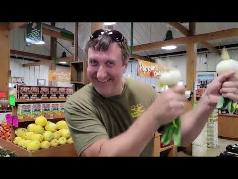 Видео: НОВАЯ КВАРТИРА. У НАС НЕ ДОМ А ЗООПАРК. БОКА РАТОН. ФЛОРИДА