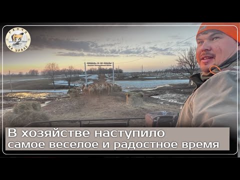 Видео: Приехали представители из Турции | Таких больших паводков мы не видели давно | Деревенские будни