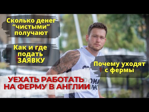 Видео: Как уехать работать на ферму в Англии. Вся правда о ферме.