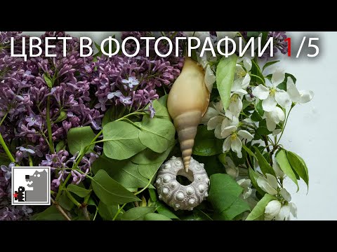 Видео: Цвет в фотографии 1/5