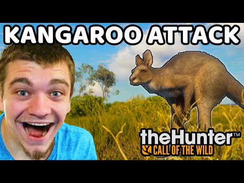 Видео: Исследуем Австралию! (Атака кенгуру)