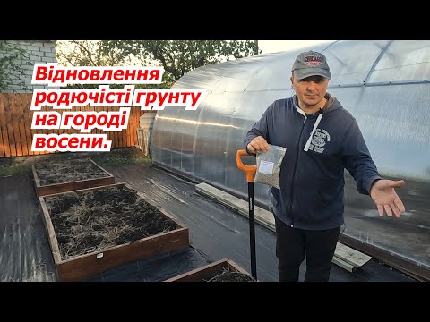 Видео: Прості кроки до врожаю: збільшення родючості грунту на городі восени.