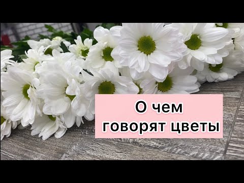 Видео: Что символизируют цветы на языке цветов