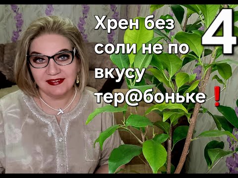Видео: Хрен без соли не по вкусу тер@боньке!