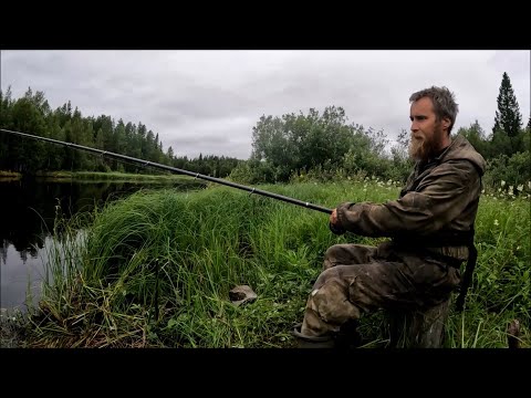 Видео: Огромный Лещ тяпнул как коряга. Рыбалка на крупную плотву